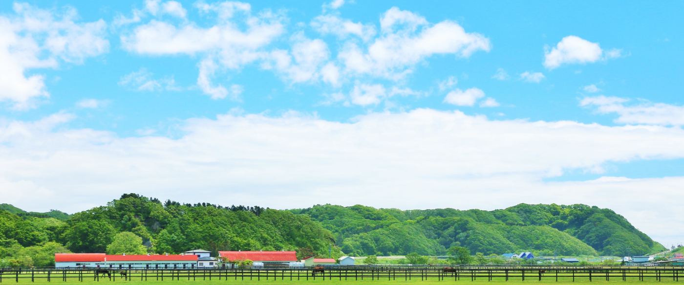 M's Stable About