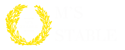M'S STABLE