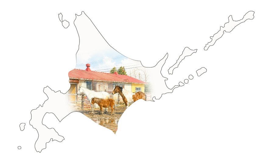 M's Stable 北海道