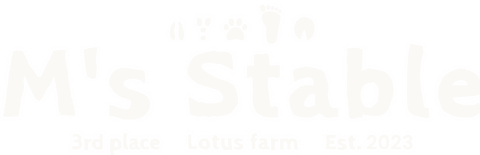 M's Stable